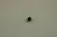 BOSCH-Temperaturbegrenzer-8738901741 gallery number 1